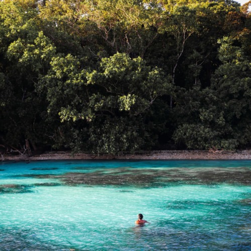 snorkelling corail récifs poissons sur les plage Ujung Kulon en Indonésie