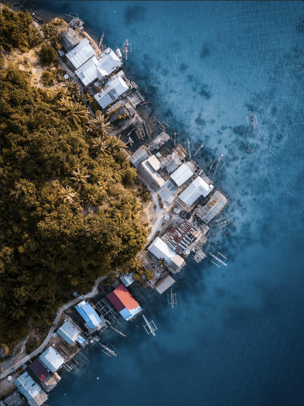 Lire la suite à propos de l’article Les Bajau des îles Togean : Les Derniers Nomades des Mers