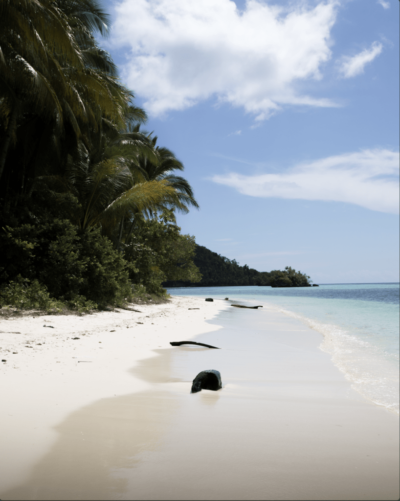 raja ampat papouasie de l'ouest indonesie